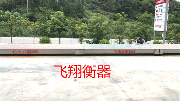 全数字式汽车衡