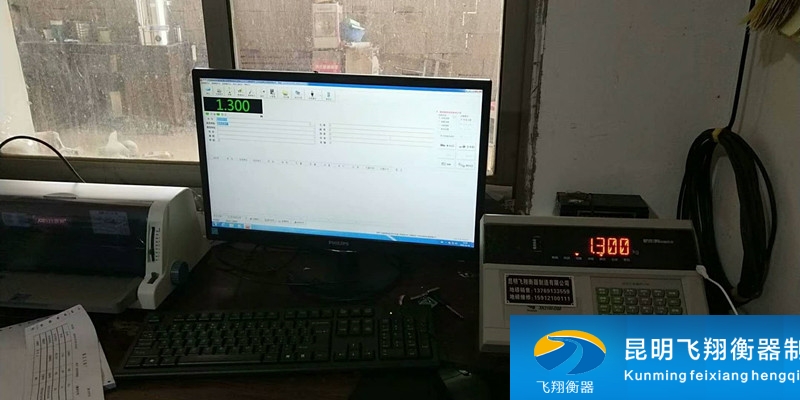 全自动称重系统